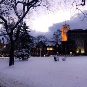 Meet your Posher, Bella